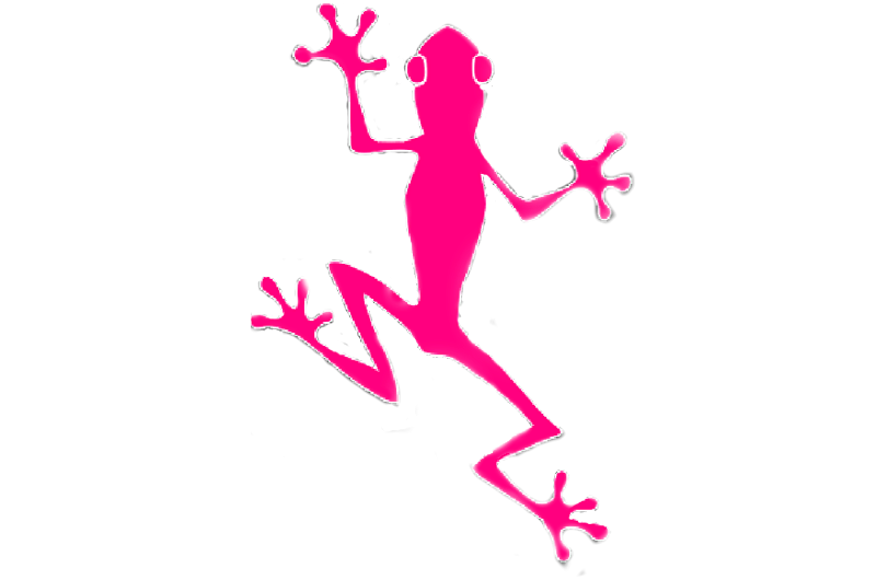 Metamorphosis Behavioral